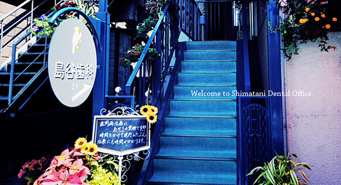 Welcome to Shimatani Dental Office